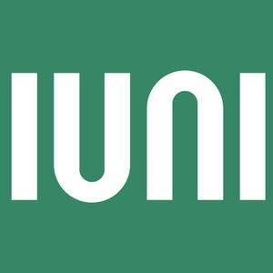 IUNI U4低調(diào)奢華有內(nèi)涵