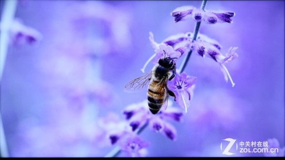 靚麗畫質(zhì)精細(xì)做工 AOC V02智能電視首測(cè) 