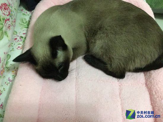 年度最強(qiáng)對決 谷歌Nexus 9戰(zhàn)iPad Air 2