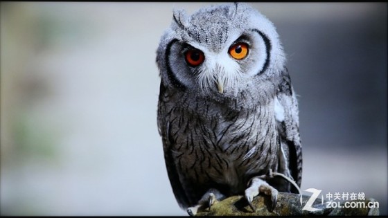 靚麗畫質(zhì)精細(xì)做工 AOC V02智能電視首測(cè) 