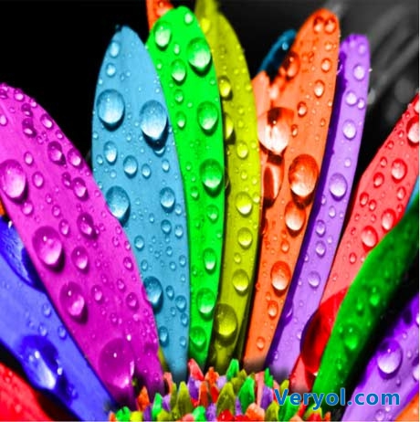 卓易市場(chǎng)Color炫彩登幕 睛彩原初色，體驗(yàn)心細(xì)節(jié)(圖1)