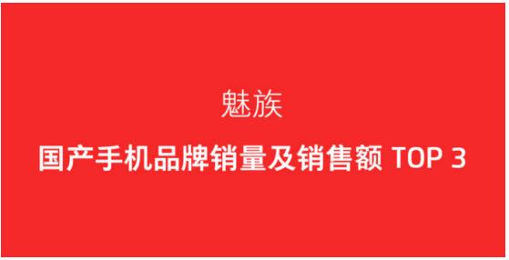 穩(wěn)居國產(chǎn)第一陣營 JD618魅族比肩華為小米(圖1)