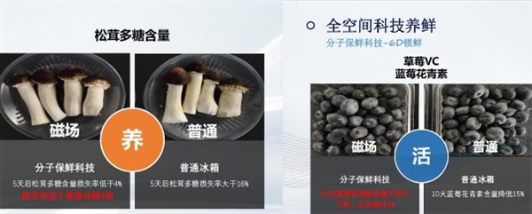 給孩子當然是最好的！TCL 格物冰箱Q10強烈推薦！(圖6)