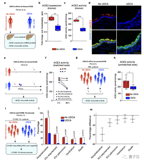 Nature最新：熊去氧膽酸可預(yù)防新冠、不怕病毒變異