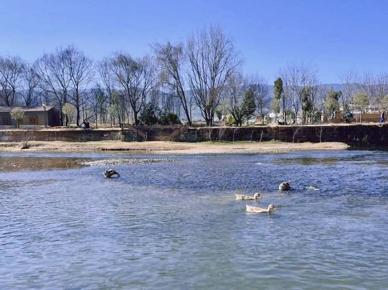 春節(jié)，“有風(fēng)”的大理煙火氣回歸(圖2)