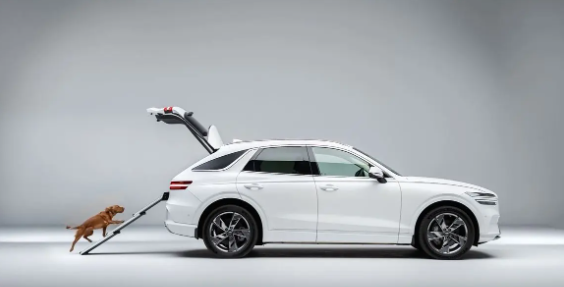 全球首創(chuàng)狗狗座椅！捷尼賽思GV70發(fā)布寵物專(zhuān)屬套件