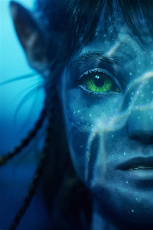 《阿凡達2》豆瓣評分下降到8.2:預期票房垮到10億 劇情老套有漏洞(圖4) 《阿凡達2》豆瓣評分下降到8.2:預期票房垮到10億 劇情老套有漏洞