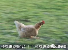 首個(gè)GPT-4驅(qū)動(dòng)人形機(jī)器人！無(wú)需編程+零樣本學(xué)習(xí)：嚇到技術(shù)專(zhuān)家