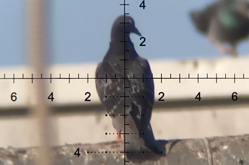 100年前的巴黎奧運(yùn)會(huì)比賽殺鴿子 10個(gè)已經(jīng)消失的奧運(yùn)項(xiàng)目(圖2) 100年前的巴黎奧運(yùn)會(huì)比賽殺鴿子 10個(gè)已經(jīng)消失的奧運(yùn)項(xiàng)目