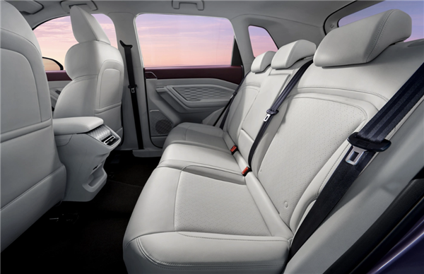 2.0T的動(dòng)力、1.0T的油耗！五菱星云混動(dòng)SUV：百公里耗油5.5升