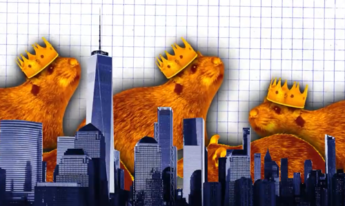 紐約為了滅鼠給老鼠避孕:結(jié)果它們多到成了網(wǎng)紅景點(diǎn)(圖11) 紐約為了滅鼠給老鼠避孕:結(jié)果它們多到成了網(wǎng)紅景點(diǎn)