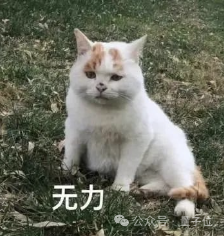 關(guān)鍵人物離開OpenAI后曝光內(nèi)幕：奧特曼砍他團(tuán)隊(duì)算力優(yōu)先搞產(chǎn)品賺錢