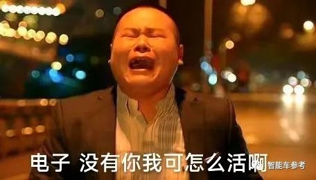 隱藏式門把手有致命缺陷：豐田在華召回全部純電轎車！