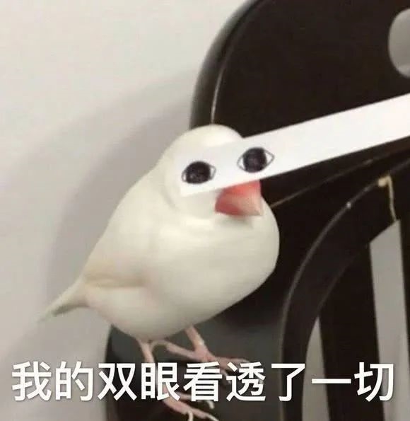 小米14最大的對(duì)手來(lái)了 又一滿(mǎn)血小屏旗艦！