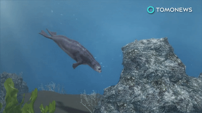 醫(yī)生從患者肚子里扯出一條活鰻魚(yú) 這不比異形還刺激