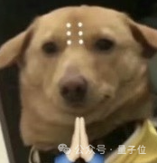 黑照變廢為寶！超能AI一句話修出創(chuàng)意大片：親媽看了都說(shuō)真