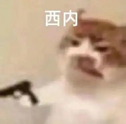 紅米頂配旗艦把友商搞得沒法玩了