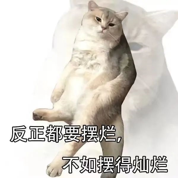 梅西奪冠 最高興的可能是這只“兔子”