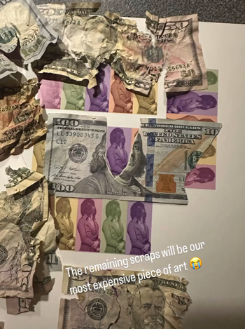 狗子吃掉2萬現(xiàn)金后又拉了出來 主人只能屎里淘金