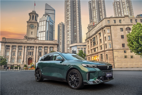 2023年成績(jī)單來(lái)啦 新勢(shì)力銷量哪家強(qiáng)(圖7)