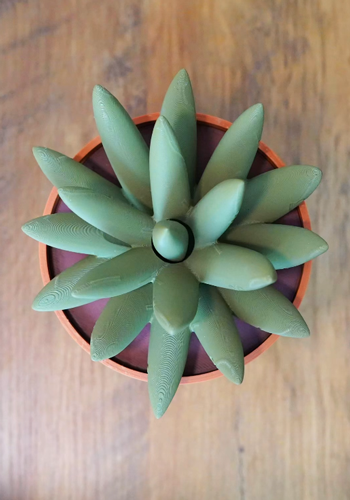 狠人用仙人掌當牙簽！“國產(chǎn)凌凌漆”看了都得服