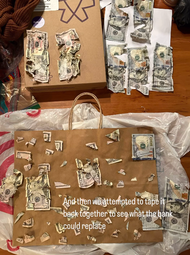 狗子吃掉2萬現(xiàn)金后又拉了出來 主人只能屎里淘金