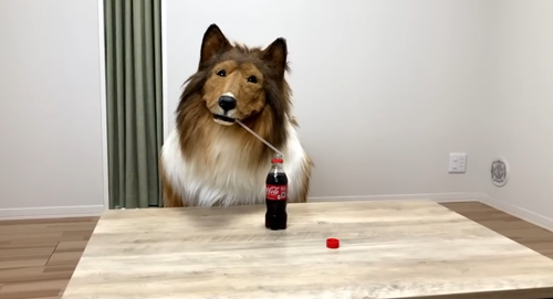 比真狗還狗：日本老哥花300萬(wàn)把自己改裝成了狗