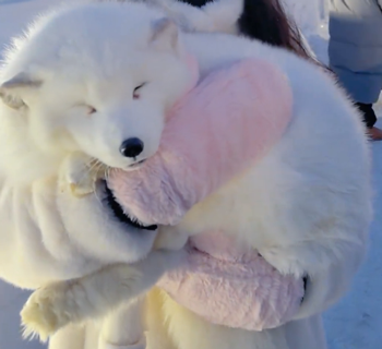 北方人被哈爾濱背刺了 為了南方游客：豆腐腦都整成甜的了！