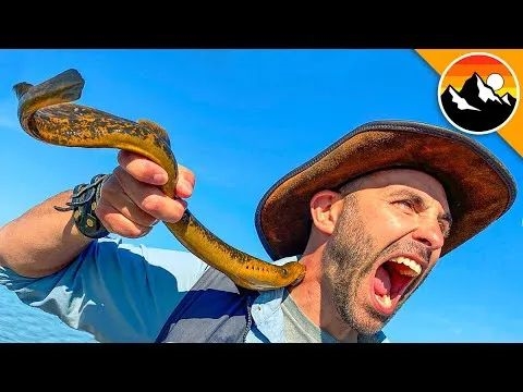 黑龍江男子撈“小雜魚”賣被抓：其中有12條很“刑”