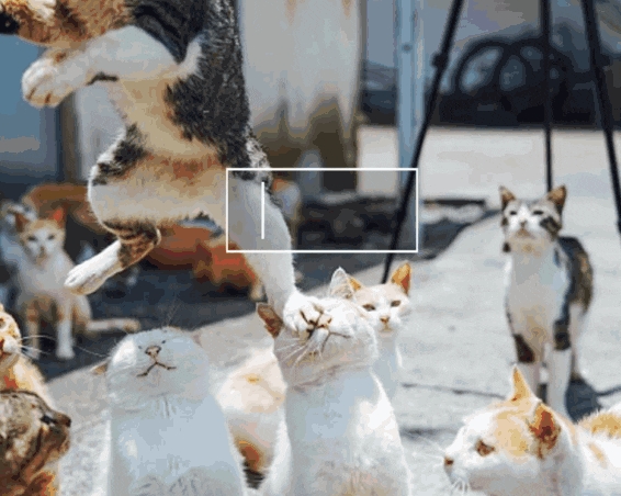 驗證碼越來越抽象 我快不能證明自己是人類了