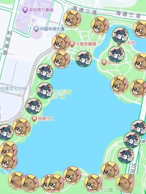 年輕人玩“躲貓貓”有多野 把地圖App都干懵了