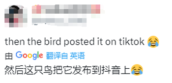 美女自拍時手機被鳥搶走！手機秒變飛機、還拍了視頻