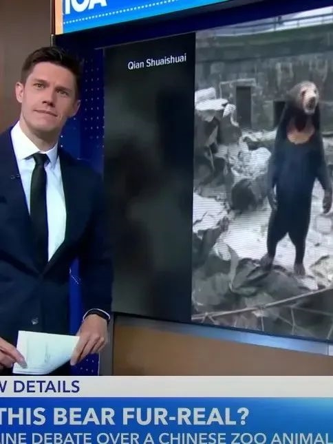 2023年奇異事件Top15：狗開槍打死主人、挖外星人祖墳