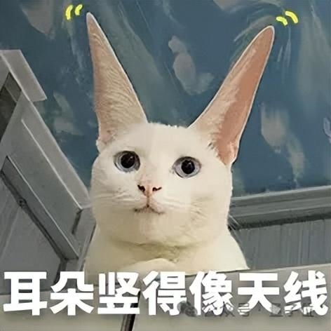 給iPhone背面貼個(gè)AI錄音機(jī) 生意老好了