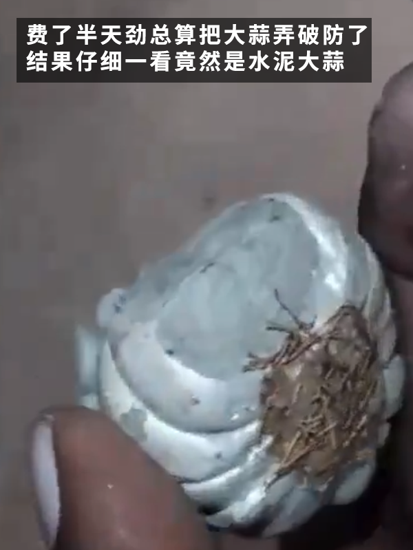 印度大姐買到水泥做的假大蒜！這也太逼真了