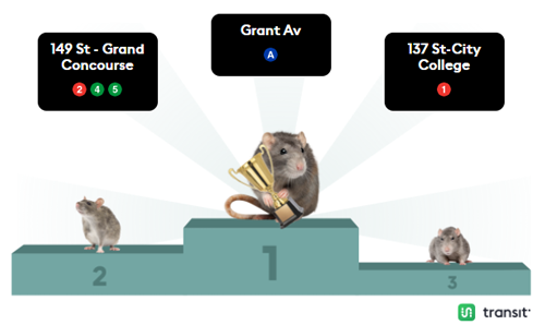 紐約為了滅鼠給老鼠避孕:結(jié)果它們多到成了網(wǎng)紅景點(diǎn)(圖8) 紐約為了滅鼠給老鼠避孕:結(jié)果它們多到成了網(wǎng)紅景點(diǎn)