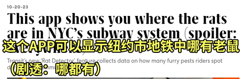 紐約為了滅鼠給老鼠避孕:結(jié)果它們多到成了網(wǎng)紅景點(diǎn)(圖3) 紐約為了滅鼠給老鼠避孕:結(jié)果它們多到成了網(wǎng)紅景點(diǎn)
