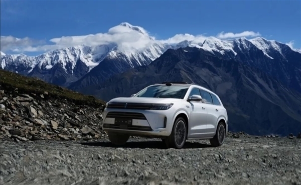 超越理想成1月新勢(shì)力銷冠：?jiǎn)柦缃衲昴繕?biāo)增速超500%！