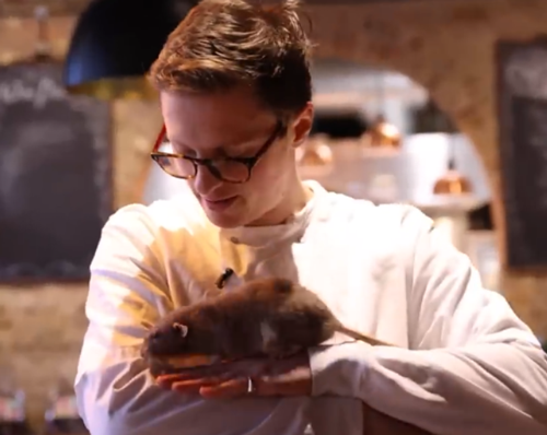 你敢吃嘗嘗嗎！網(wǎng)紅小哥訓(xùn)練老鼠當(dāng)廚師：還做菜給朋友吃