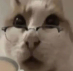 最邪門(mén)的作弊方法！印度老哥假扮女友參加考試，結(jié)果當(dāng)場(chǎng)被抓