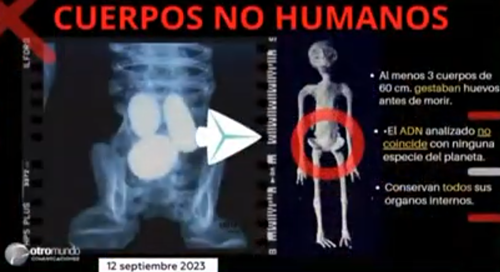 地球上發(fā)現(xiàn)的外星人實(shí)體內(nèi)還有三顆蛋？