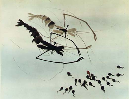 《中國奇譚》值得這么夸嗎？