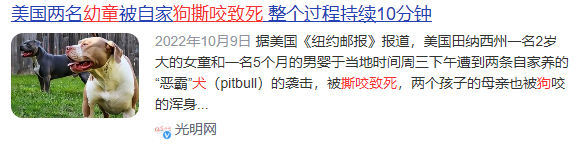 狗不栓繩：為什么受傷的總是孩子？