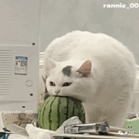 馬斯克新營收手段：推特靚號在線搶 算把東方狠活學(xué)明白了