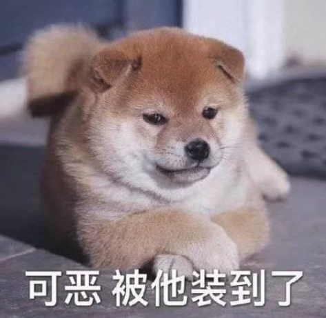 星艦三號(hào)開(kāi)啟人類航天新篇章：馬斯克嗨到不行