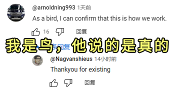 美國(guó)如何用鴿子搞暗殺：有網(wǎng)友把這個(gè)腦洞做出來(lái)了！