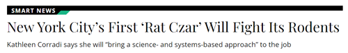 紐約為了滅鼠給老鼠避孕:結(jié)果它們多到成了網(wǎng)紅景點(diǎn)(圖23) 紐約為了滅鼠給老鼠避孕:結(jié)果它們多到成了網(wǎng)紅景點(diǎn)