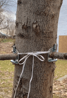 異地也能擁抱！老哥用胸毛給女友做枕頭：逆天發(fā)明遠不止此