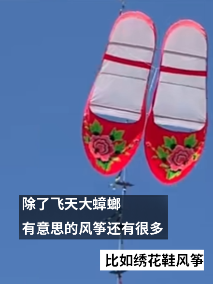 濰坊風(fēng)箏節(jié)驚現(xiàn)飛天蟑螂！廣東人急呼再放個(gè)拖鞋上去