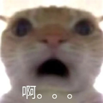 異地也能擁抱！老哥用胸毛給女友做枕頭：逆天發(fā)明遠不止此